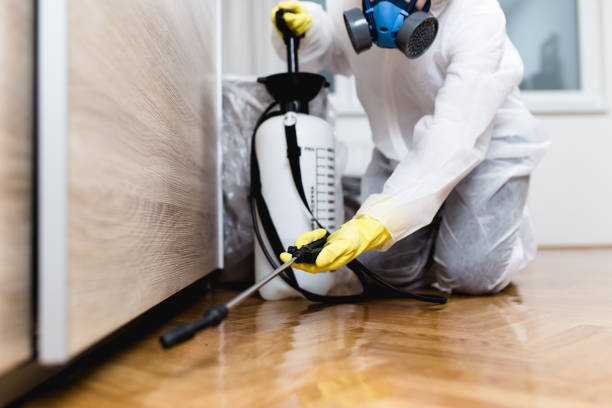 Best Affordable Pest Control Services  in Paola, KS