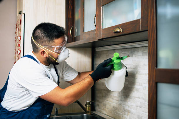Best Bed Bug Extermination  in Paola, KS