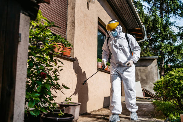 Best Flea Control Services  in Paola, KS