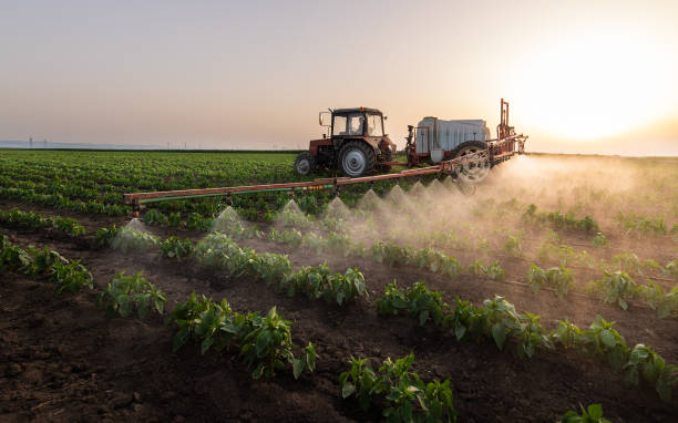 Best Commercial Pest Control Services  in Paola, KS