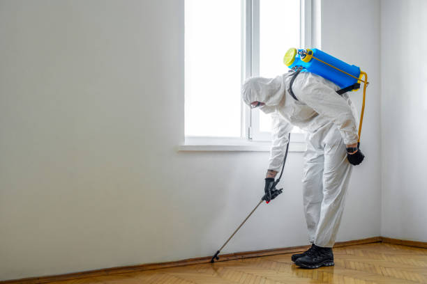 Best Residential Pest Control  in Paola, KS