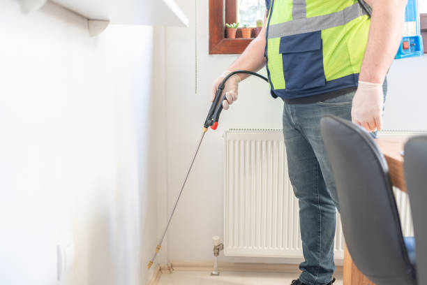 Best Termite Control Services  in Paola, KS