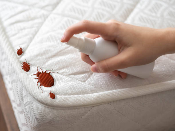 Best Mosquito Control Services  in Paola, KS