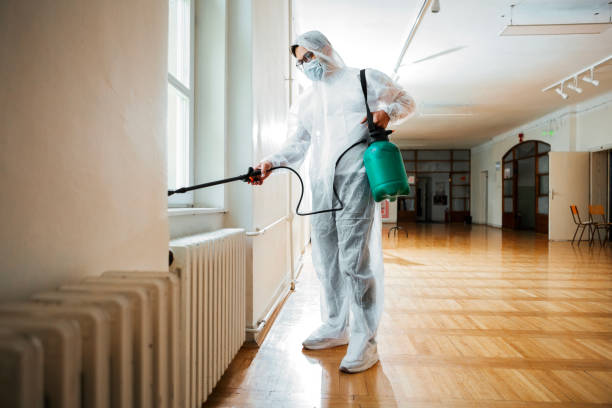 Best Affordable Pest Control Services  in Paola, KS