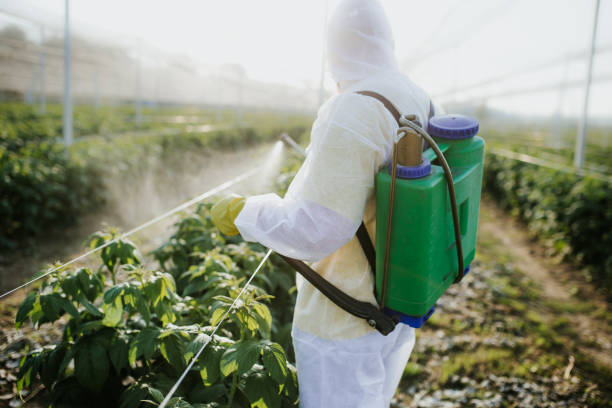 Trusted Paola, KS Pest Control Experts